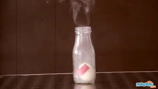 Egg in a Bottle Experiment  Science Projects for Kids  Educational Videos by Mocomi [upl. by Mcintyre]