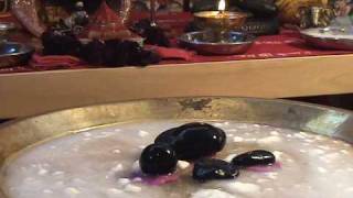 Shaligram Puja Part 1 Panchamrit Abishekam [upl. by Atsirtal]