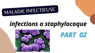 Infections a staphylocoque PART 02  Maladies infectieuse 4 éme MED [upl. by Lahcar]