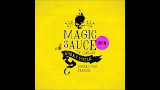 Harry Potar  Tremor Magic Sauce n°8 [upl. by Sanfourd]