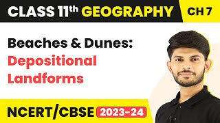 Beaches and Dunes Depositional Landforms  Landforms and their Evolution  Class 11 Geography [upl. by Talbott]