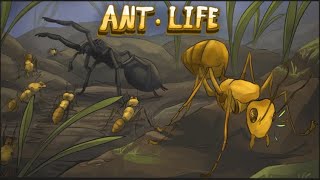 Las Peores Hormigas Ant Life BROODMOTHER [upl. by Attennaj]