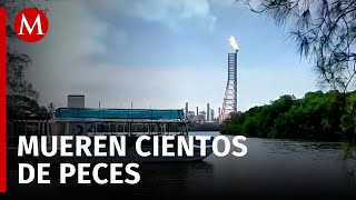 Contaminación en río Seco afecta a pescadores y comerciantes en Paraíso Tabasco [upl. by Anyotal]