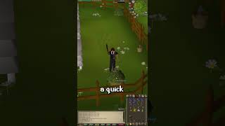 Which uniques will we get today 📜🍃💰 Ep 5 osrs runescape [upl. by Ahsii935]