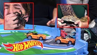 Playing Rocket League RC with Real Snakes and Spiders  Gaming Garage  HotWheels [upl. by Crissie218]