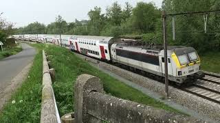 NMBS SNCB  M6 BX  HLE 18  Siemens Eurosprinter  Hennuyères  Brttrainz  L96  IC 19xx  BE [upl. by Iilek]