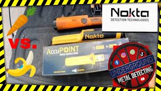 Nokta Accupoint Garrett ProPointer AT  Pinpointer review and In Depth Comparison  🍌 vs 🥕 [upl. by Annaehs]