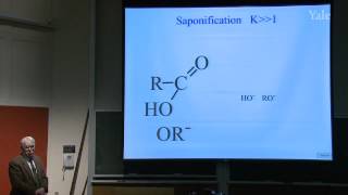 34 Acids and Acid Derivatives [upl. by O'Callaghan709]