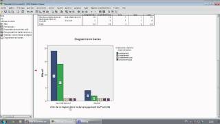 Formation SPSS Tableaux deffectifs et Diagrammes [upl. by Nelhsa]