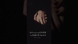 TALAASH💔 Lines  urdushayari  urdu poetry  youtubeshorts [upl. by Benge]