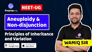 Aneuploidy and NonDisjunction  Principles of Inheritance and Variation by Wamiq Sir [upl. by Aenotna]