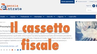 Il cassetto fiscale [upl. by Ecirtaed99]