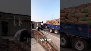 double EXEL electric tricycle drop leverage overloaded farmers good helper tricycle part199 [upl. by Iey198]