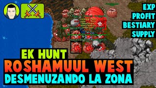 Tibia ⚔ Roshamuul West  Hunt Elite Knight  Desmenuzando la Zona [upl. by Perl]