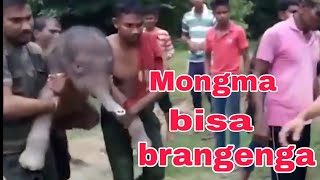 Mongma bisa brangenga [upl. by Haida]