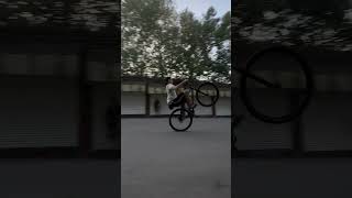 Bmx cruiser mafia booma 29 [upl. by Norma]