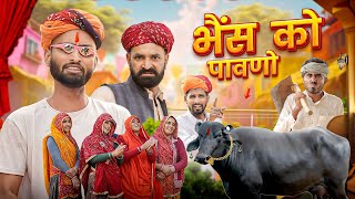 भैंस को पावणो  राजस्थानी जौरदार कॉमेडी kakakajod marwadimasti [upl. by Adaran]