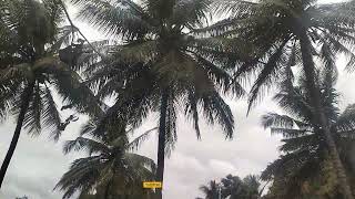 2acre10 gunte redsoil 🌴🌴1acrege 45 laksh Negoshable 👉 call me Basavanna 7026586397 [upl. by Eanert]