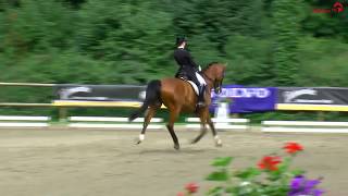 HanerauHademarschen 2018  Grand Prix de Dressage  Josephine Rosen mit Crescendo [upl. by Mattox608]