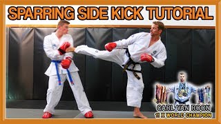 The Perfect Side Kick for Taekwondo Sparring  Van Roon Tutorial [upl. by Enida]