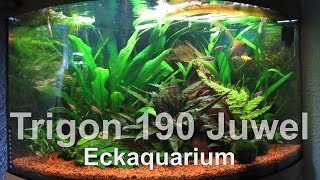 Juwel  Trigon 190  Eckaquarium  Süßwasser  Tank [upl. by Aelyk771]