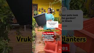 హై క్వాలిటీ మొక్కల కుండీలు Gardening Pots ​⁠MADGARDENER garden plants gardening [upl. by Feeley]