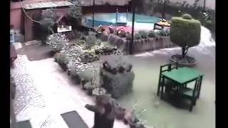 Magnitude 8 Earthquake destroys swimming pool [upl. by Lisette]