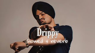 Drippy  Slowed  reverb  Sidhu Moose Wala [upl. by Nnylodnewg]