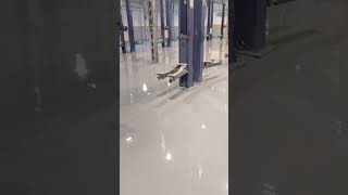 Epoxy flooring coating 9313159857 [upl. by Harman]