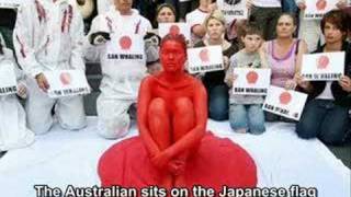 Racist Australia Mistreatment of Japanese flag [upl. by Rillis]