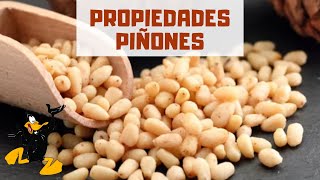 10 Propiedades de los Piñones ¡BENEFICIOS [upl. by Htrahddis]