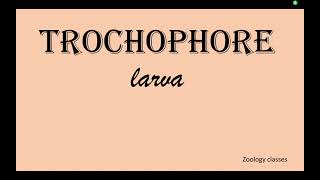 65Trochophore Larva [upl. by Atnaloj]