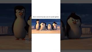 Ein Pinguin erlebt hat memes trend funny youtubeshorts viral fyp madagascar meme46 [upl. by West]