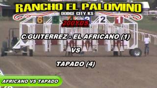 RANCHO EL PALOMINO 832013 CGUITERREZ  EL AFRICANO VS TAPADO 200YDS [upl. by Yllitnahc]