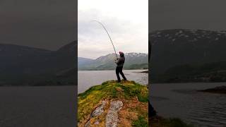 dorsz 580kg na surfcasting wędkarstwo fish fishing [upl. by Eilerua473]