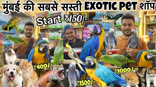 Start ₹150😱 सबसे सस्ती शॉप  Animals  Birds  cheapest Pet market in Mumbai  Wajid pet shop [upl. by Naivatco]