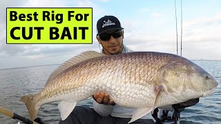 Best Way To Rig Cut Bait Cross Between Fish Finder Rig amp Knocker Rig [upl. by Dlaner436]