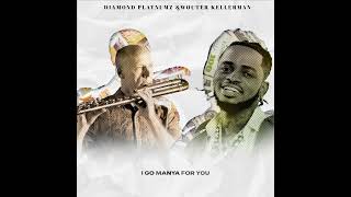 Diamond Platnumz amp Wouter Kellerman  Pounds amp Dollars Lyric Video [upl. by Harrow]