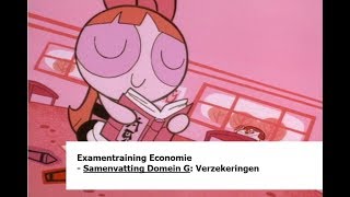 Examentraining Economie Samenvatting Domein G Verzekeringen [upl. by Mulligan]