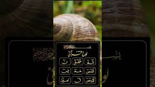 Lohe Qurani Ki Fazilat quran wazeefa hadees [upl. by Louise]