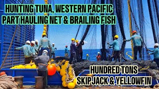 HUNTING TUNA WESTERN PACIFIC PURSE SEINER PART HAULING amp BRAILING FISH [upl. by Ardekal]