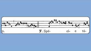 Audi Filia St Cecilia Gradual [upl. by Uos]