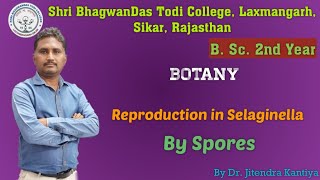 BSc2nd YearBotany Reproduction in Selaginella by Spores Dr Jitendra Kantiya  SBDT College [upl. by Crescantia]