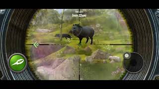 Hunting Clash Epic Collared Peccary in Peru NGGHOST [upl. by Naz]