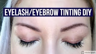 HOW TO TINT YOURE OWN LASHES amp BROWS DIY RefectoCil Review [upl. by Hanafee]