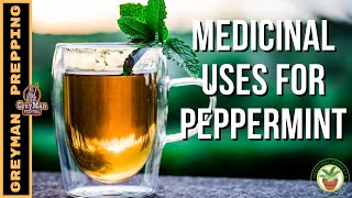 What Are The Medicinal Uses For Peppermint  Benefits of Peppermint Tea and Extracts [upl. by Redan]