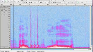 How to View the Spectrum in Audacity [upl. by Menis539]