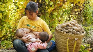 Single mother raising two children Harvest yams goes to the market sell Daily life of a single mom [upl. by Atinauj]