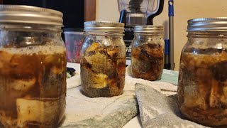 Pressure canning trout part 2 canning and tasting aokforagingandadventures [upl. by Nosak]