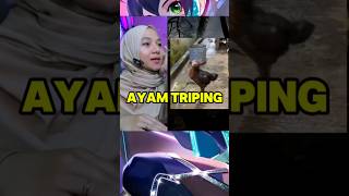 Ayam Triping reactionvideo [upl. by Leizahaj]